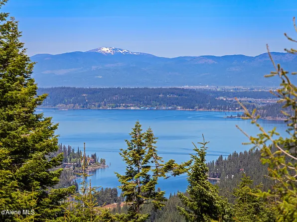 9338 S Caribou Ridge Rd, Harrison, ID 83833