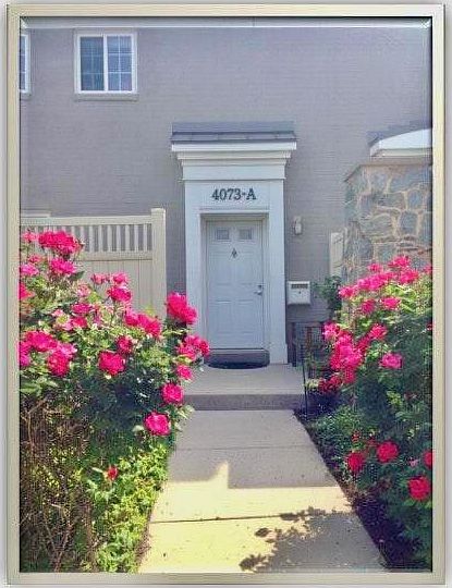 Front entrance through roses.
