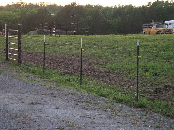 Fence with gate to pasture