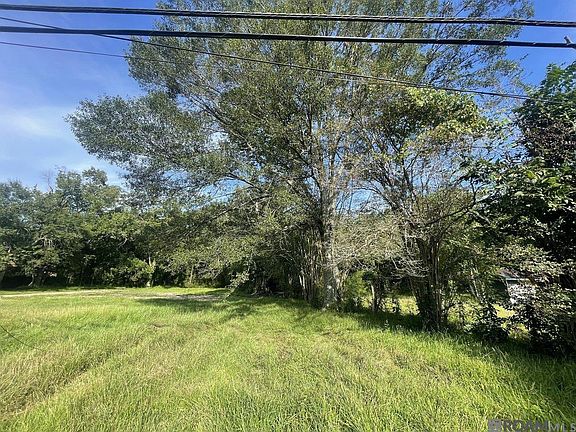4th image of 13311 Plank Rd