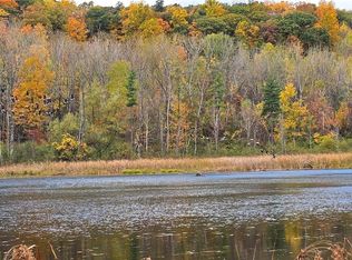 5031 State Route 79, Burdett, NY 14818