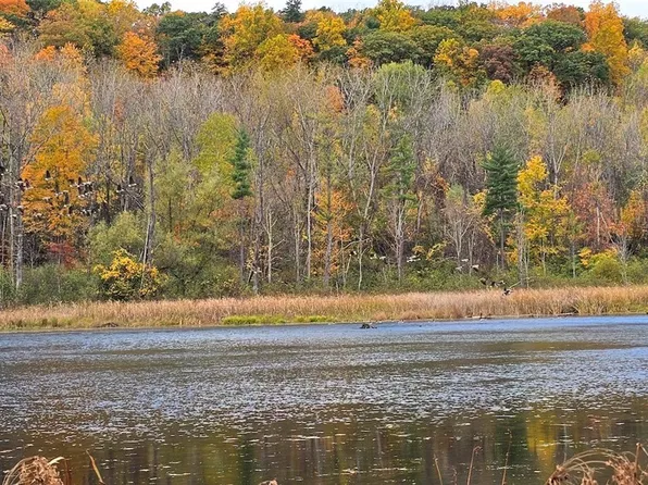 5031 State Route 79, Burdett, NY 14818