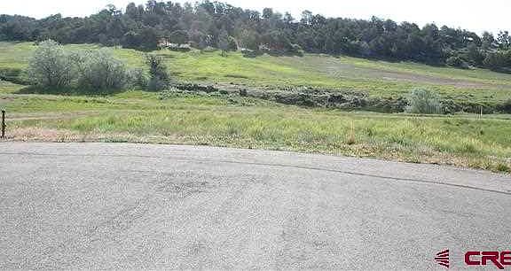 3rd image of 29 Nature Trail Ct