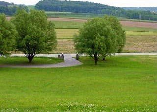 the view facing south