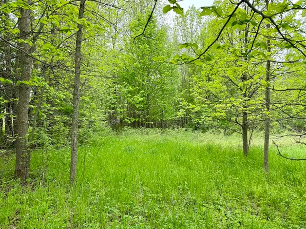 84 Tbd State Hwy, Longville, MN 56655