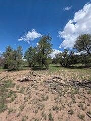 3rd image of 3 Deer Run Trl