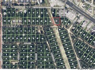2800 Clearwood St, Inverness, FL 34452