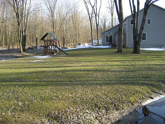 over half acre yard bounded by trees