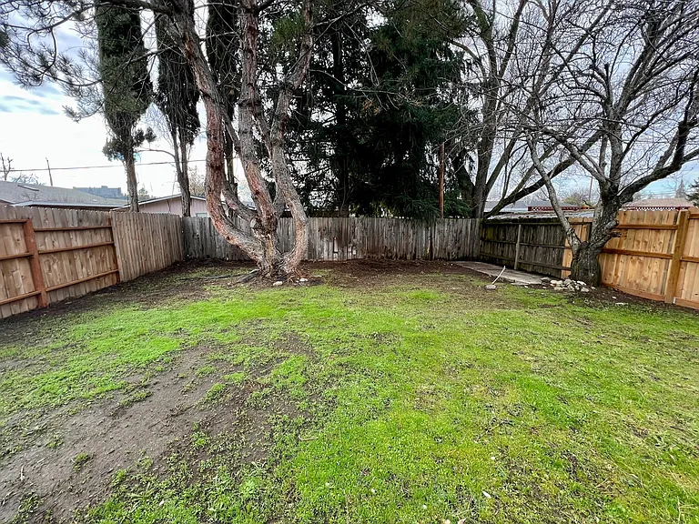 834 Olympic Ave — Photo 12