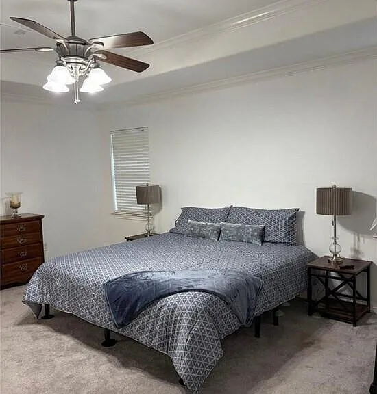 3818 Treasure Island Dr — Photo 11