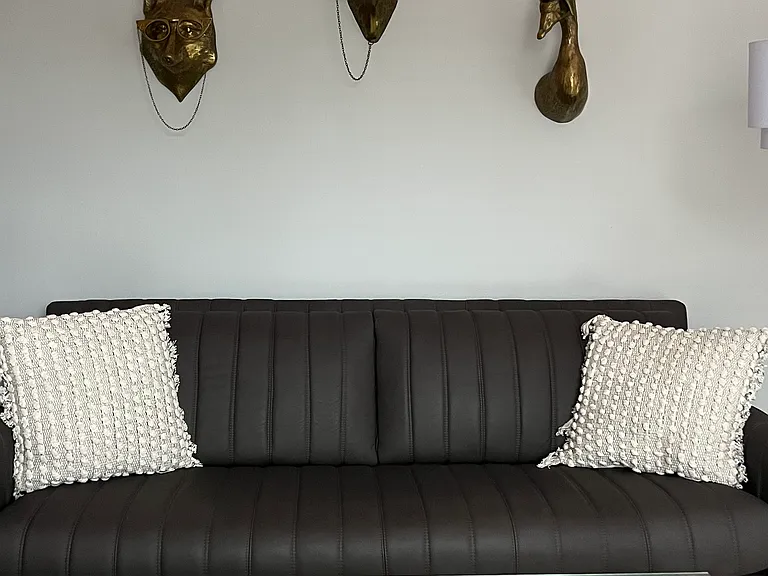 Living room sofa