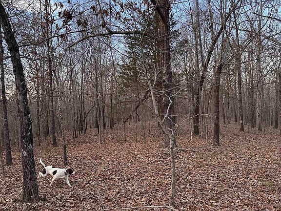 3rd image of County Road 470