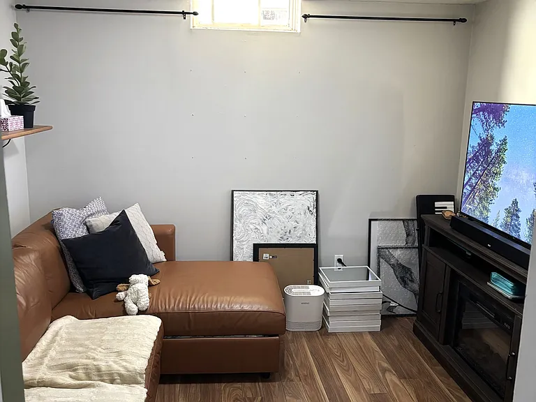 115 Clansman Trl #BASEMENT — Photo 4