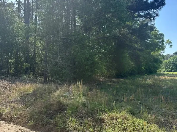 0 Walter Carter Rd, Enigma, GA 31749