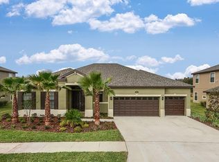 10631 Mistflower Ln, Tampa, FL 33647