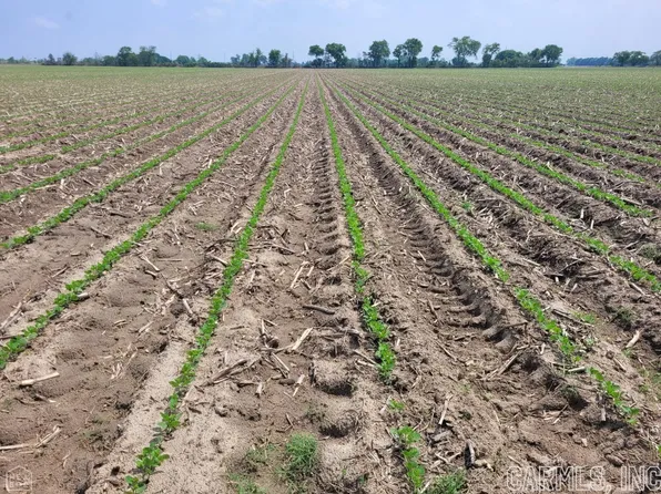 40 Acres Cres #236, Trumann, AR 72472