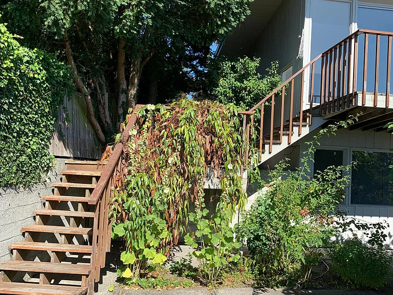 Backyard stairs