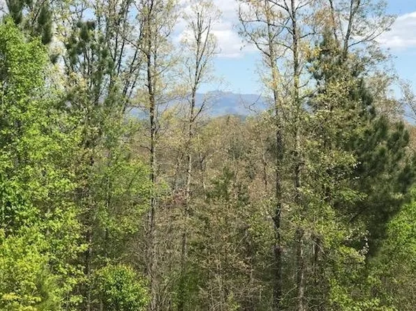 29 Brasstown View Rd, Murphy, NC 28906