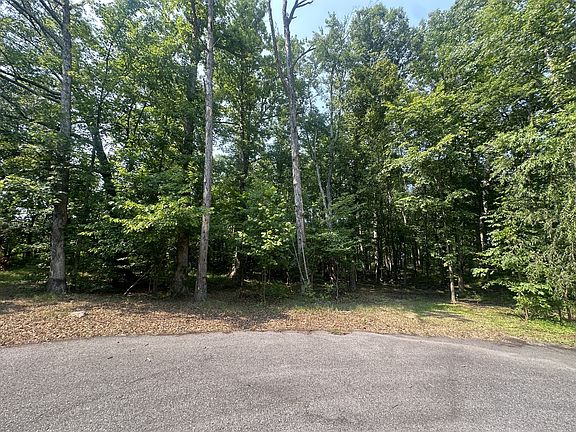 4th image of 0 S Pinson Dr