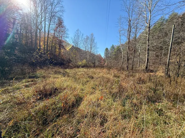 9117 Herold Rd, Sutton, WV 26601