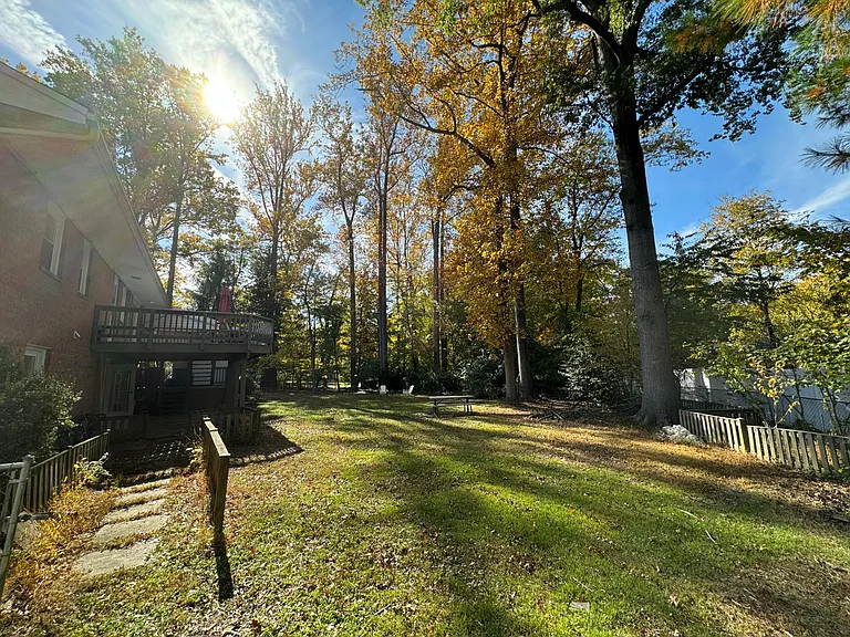 View of backyard with mature trees.