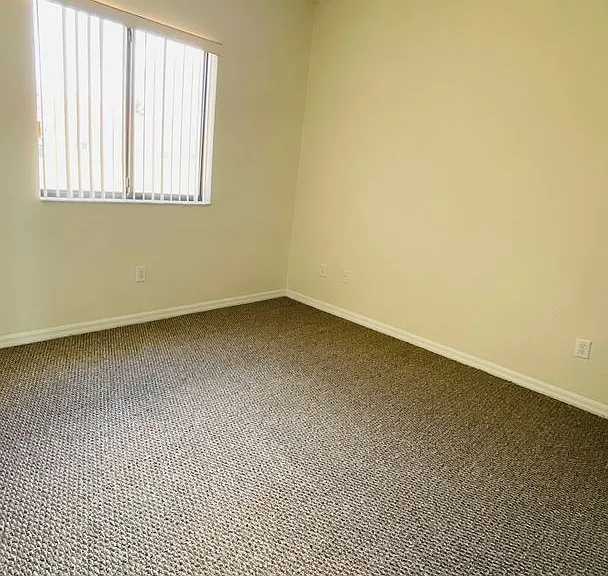 1769 Coriander Dr — Photo 18