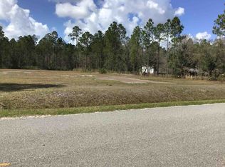 10305 Allison Ave, Hastings, FL 32145