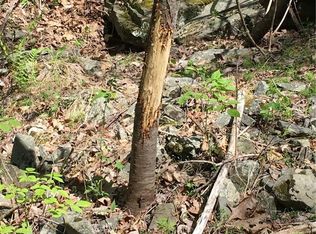 Logtown Rd, Pt Jervis, NY 12771