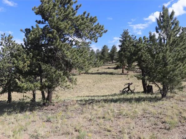 2206 Windmill Drive LOT 1365, Hartsel, CO 80449