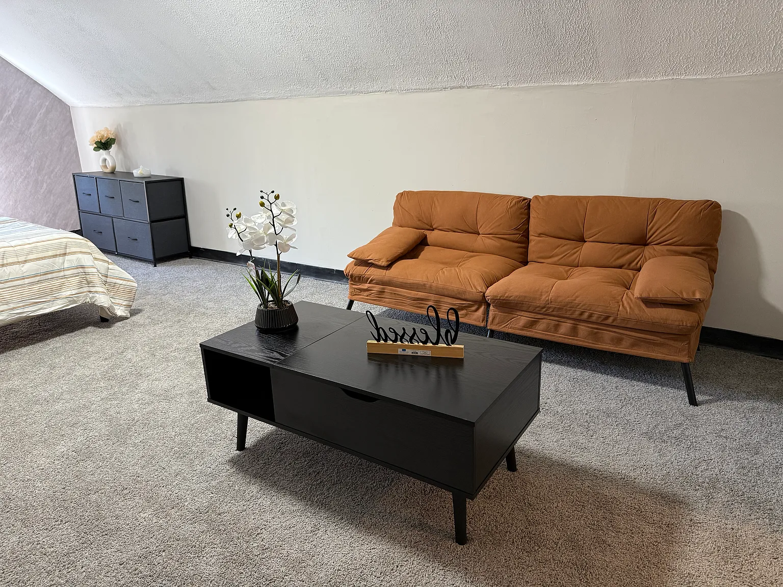 Studio, 700 sqft, $900 — Photo 4