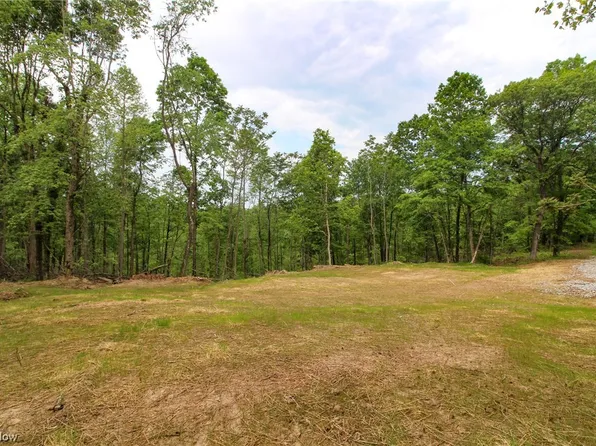 2 Mount Carmel Ridge Rd, Saint Marys, WV 26170