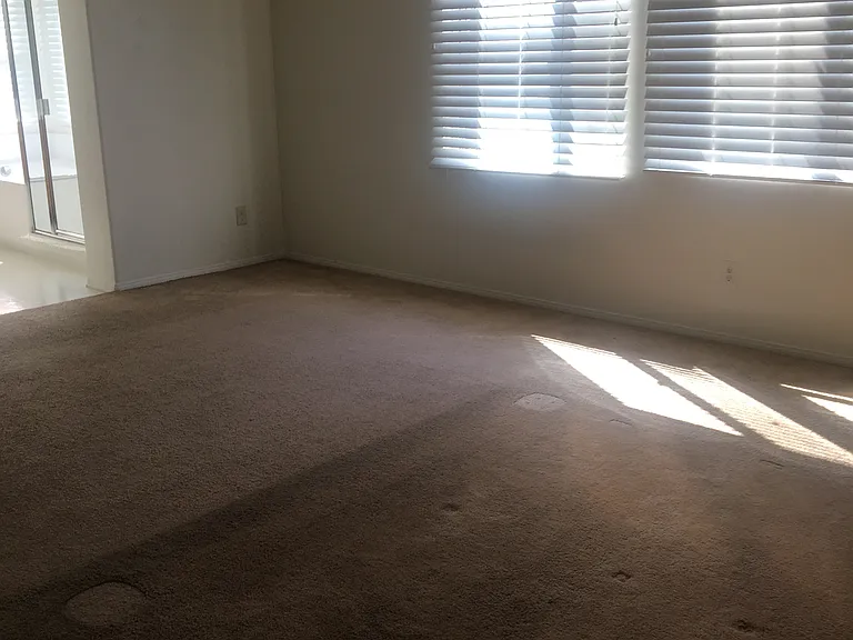 13337 Babbling Brook Way — Photo 12