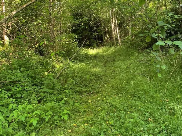 2 Parpala Rd, Naselle, WA 98638