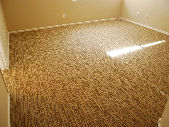 newer modern carpet