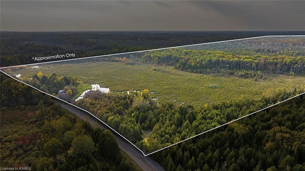 349 Dafoe St, Greater Napanee, ON K0K 2W0 MLS 40585219 Zillow