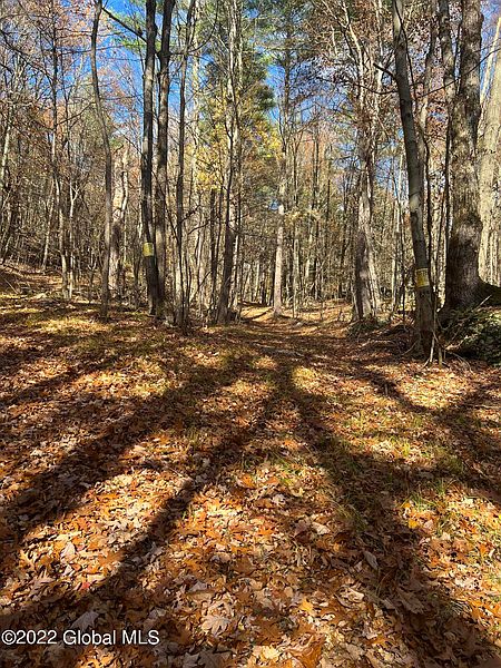 4th image of L26 Brownell Hollow Rd