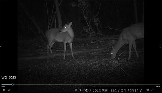 2nd image of 3194 County Road 203