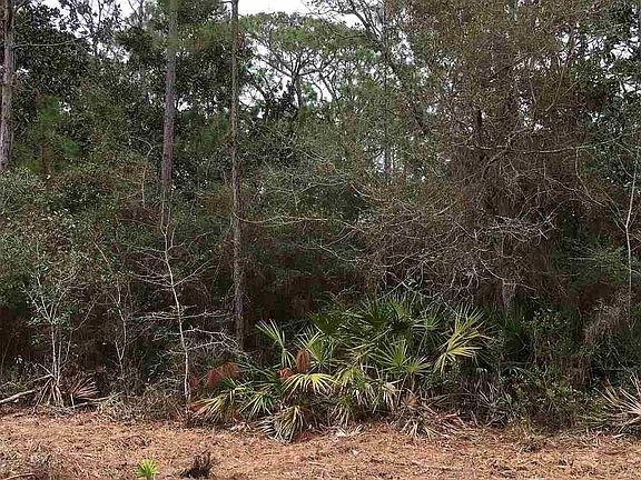 3rd image of 0 Laurel Dr