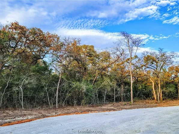 16 Berkshire Dr, Franklin, TX 77856