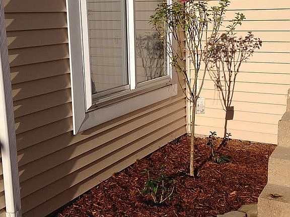 2nd image of 1535 Cornell Pl #9A