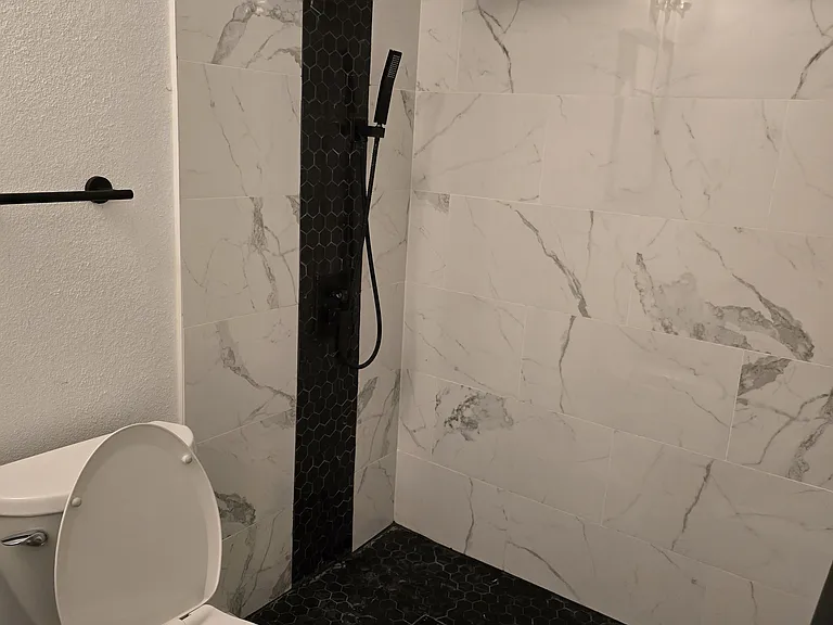 Master RR walk in shower