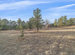 38 Doe Cir, Bailey, CO 80421