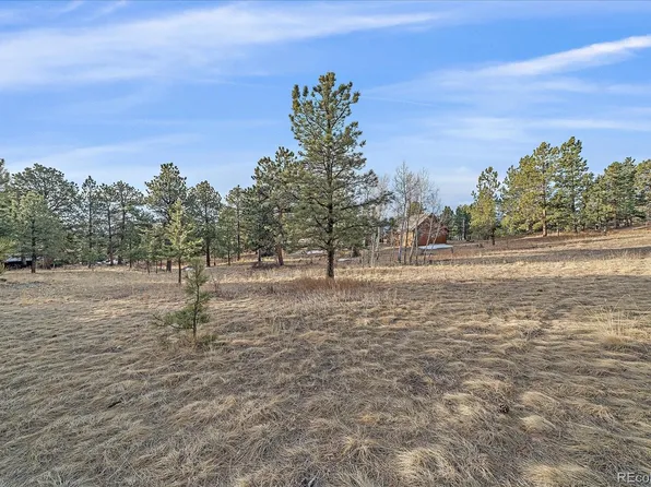 38 Doe Circle, Bailey, CO 80421