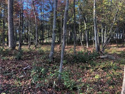 4 Sunset Cv, Ellijay, GA, 30540