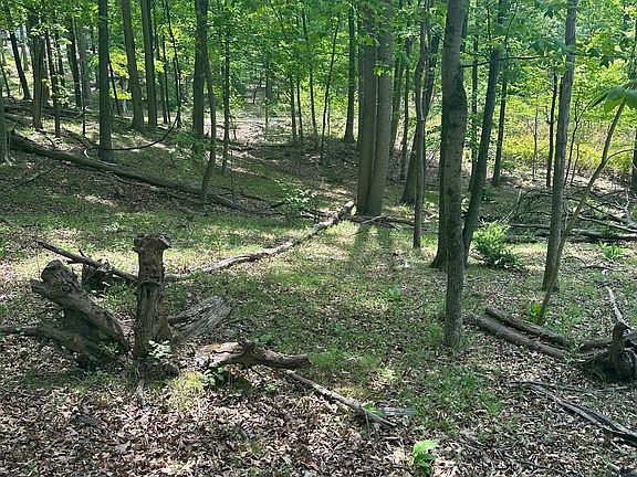 4th image of 0 Whispering Acres Ln