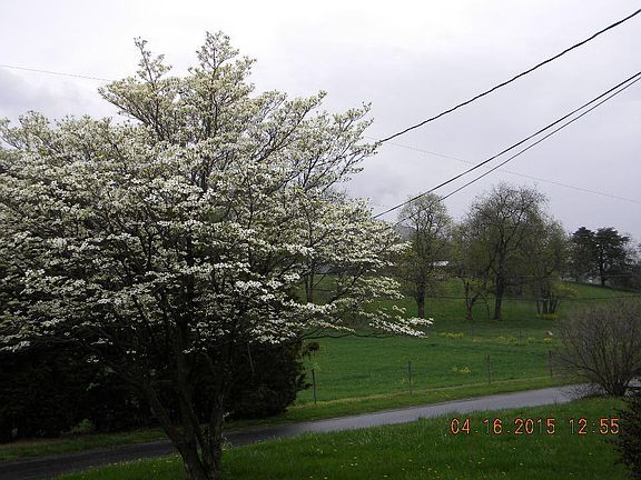 4th image of 20 Leslie Ln