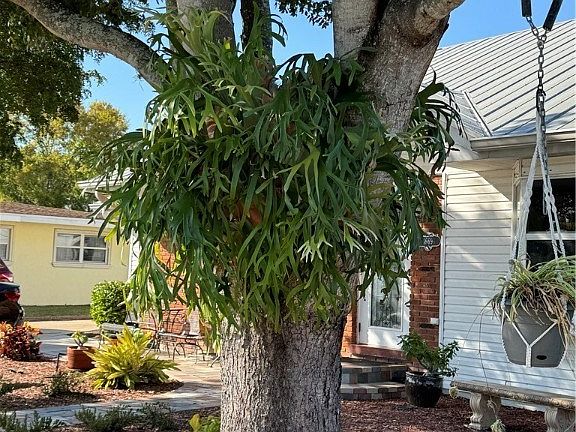 3rd image of 1669 Maravilla Ave