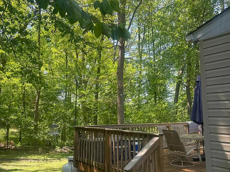 1666 Hemlock Cir — Photo 30