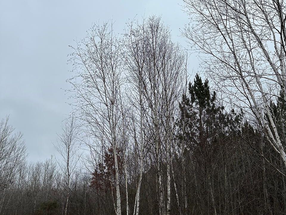 2nd image of Swamp Lake Rd #4069-16
