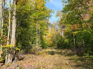 0 Cherwinski Rd, Vanderbilt, MI 49795